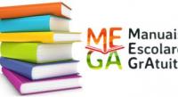 MANUAIS2.JPG